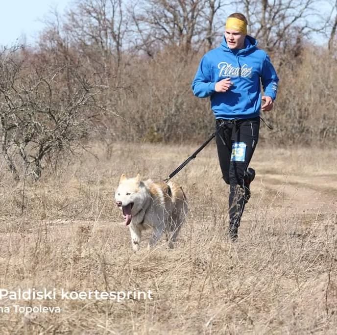 The Art of Drawing Readers In: Your attractive post title goes here 278033063 376419347727721 2311688441585261432 N